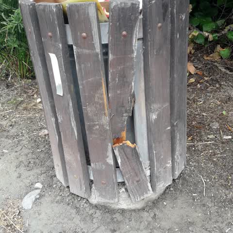 Rubbish/Recycling, a report photo