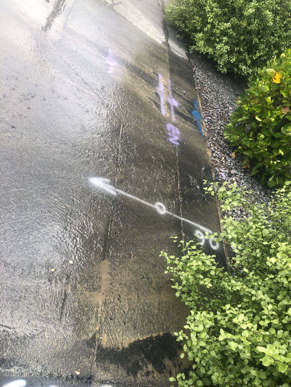 The photograph attached to this water leak report