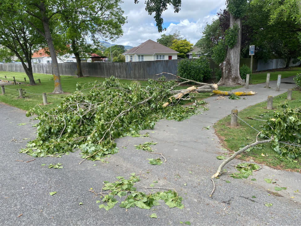 The photograph attached to this parks report