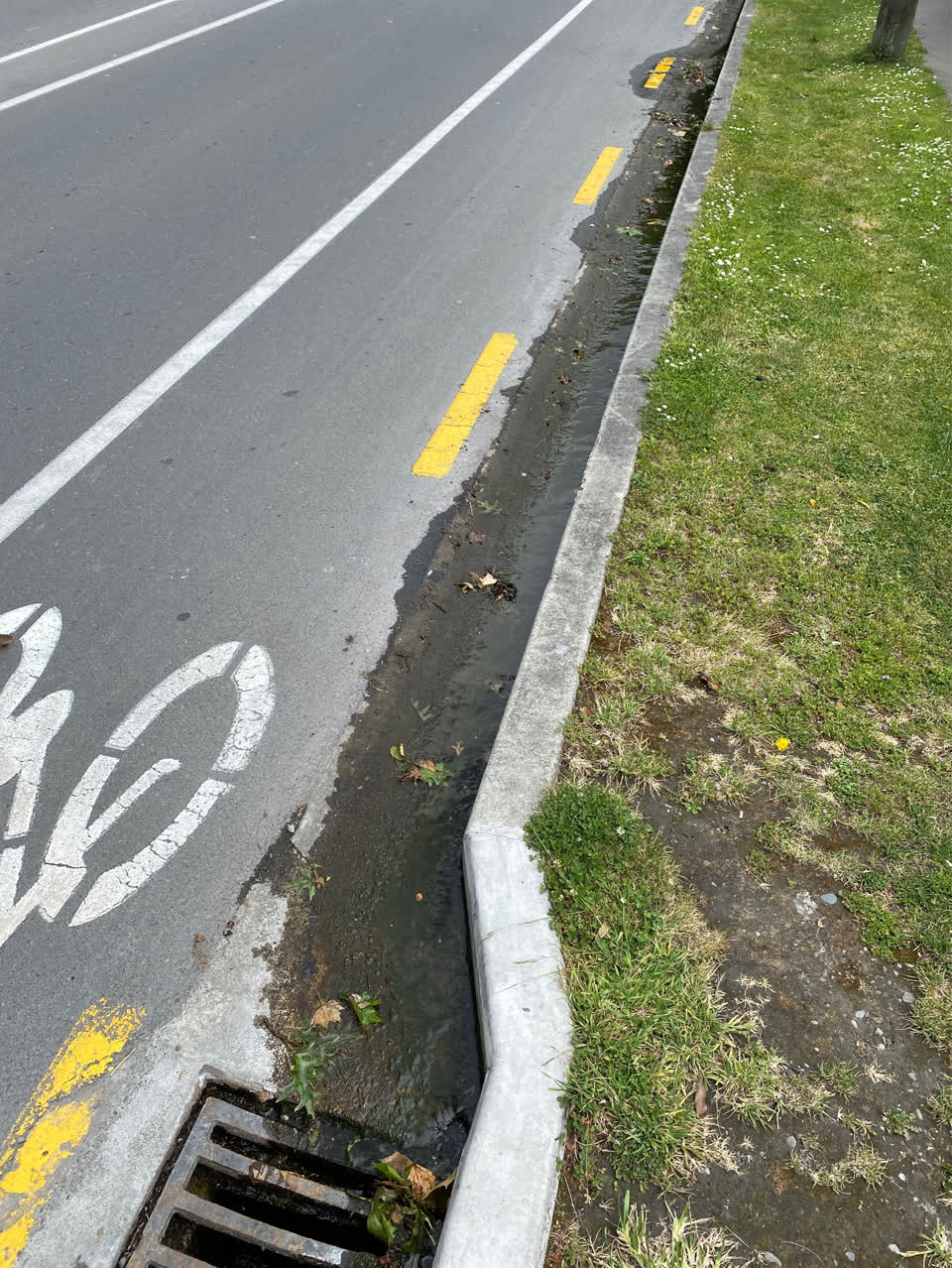The photograph attached to this water leak report