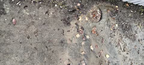 Water Leak, a report photo