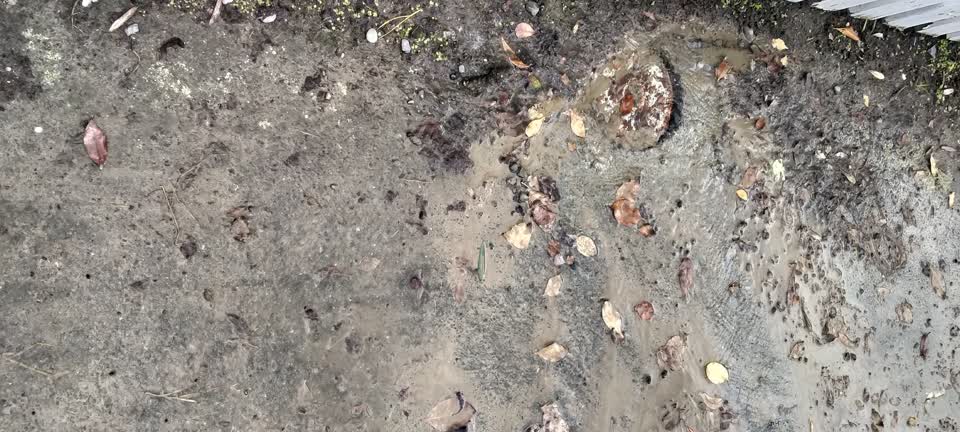 The photograph attached to this water leak report