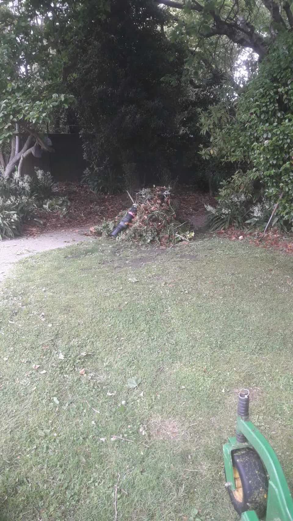 The photograph attached to this parks report