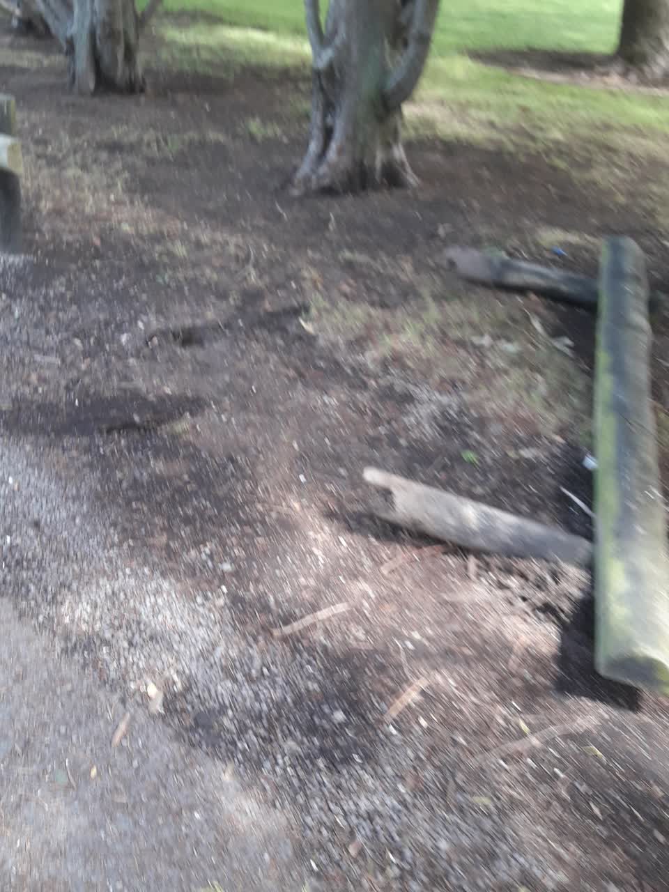 The photograph attached to this parks report