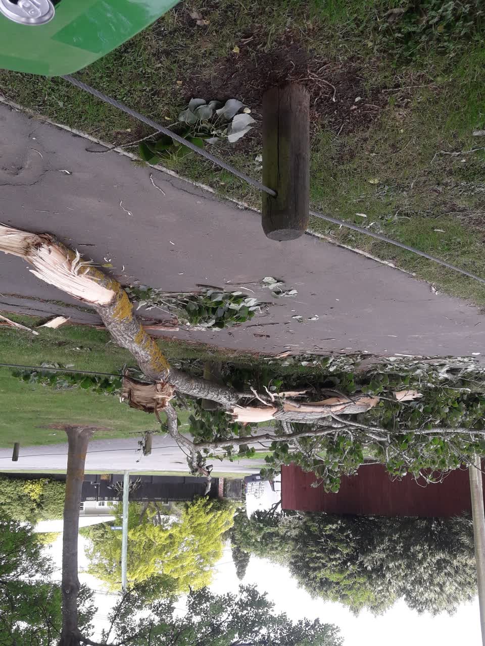The photograph attached to this parks report