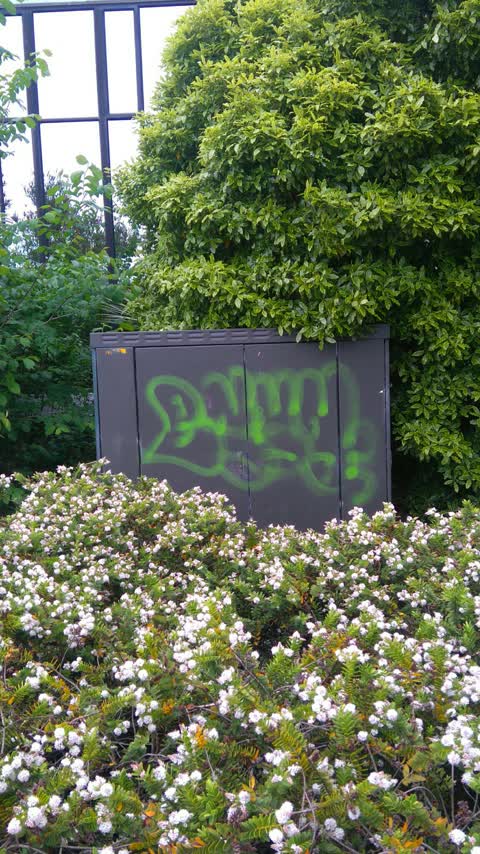Graffiti, a report photo
