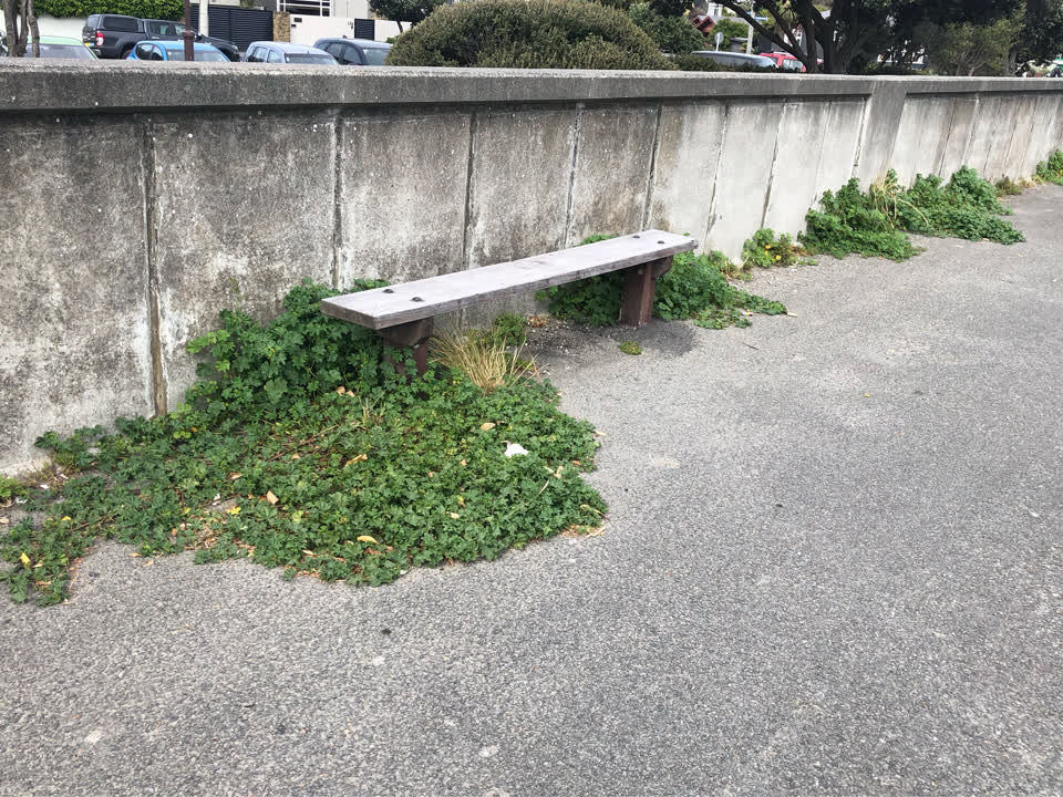 The photograph attached to this parks report