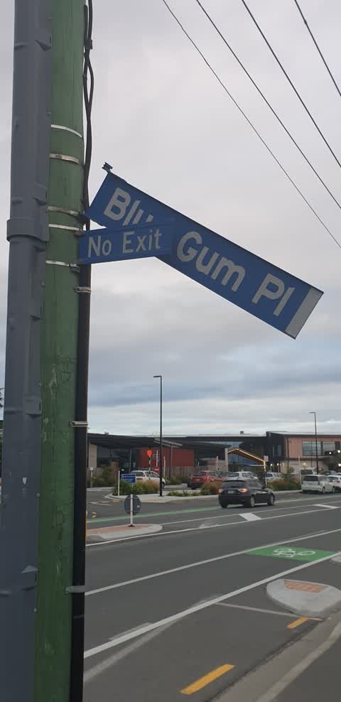 Roading/Streets, a report photo