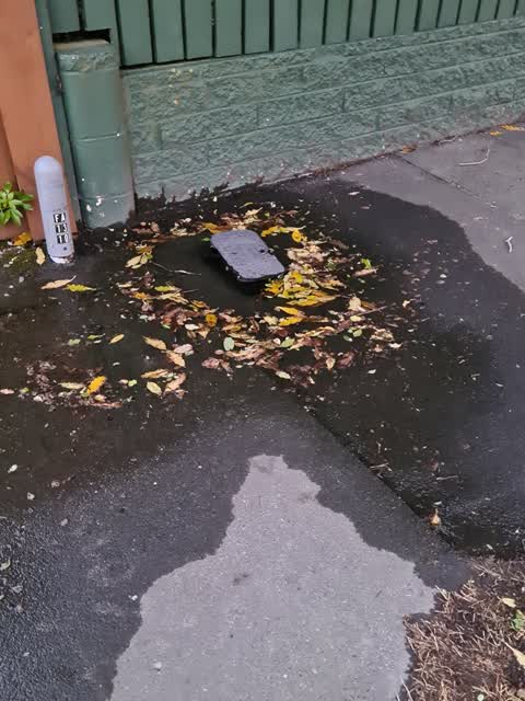 Water Leak, a report photo