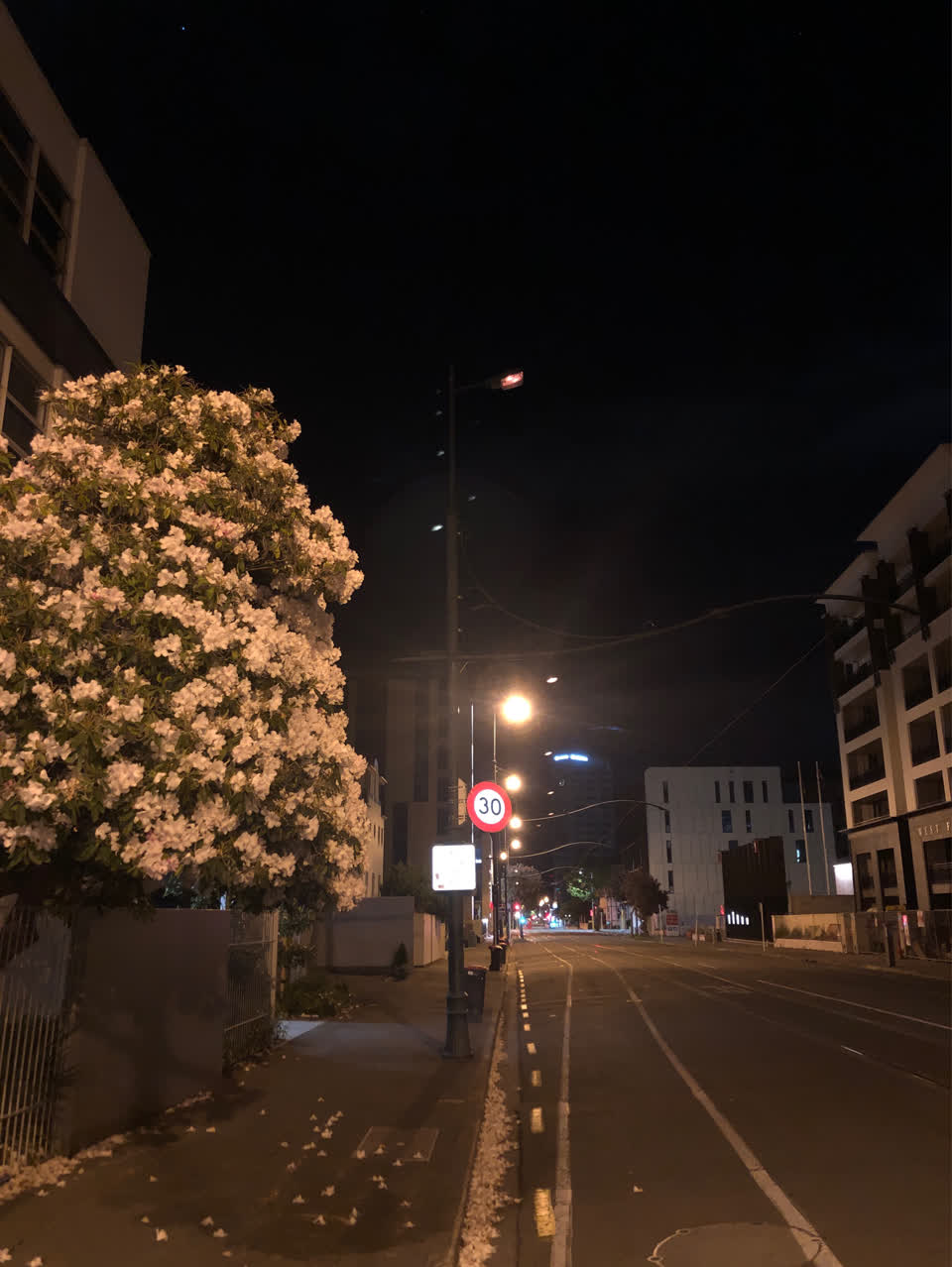 The photograph attached to this street light outage report
