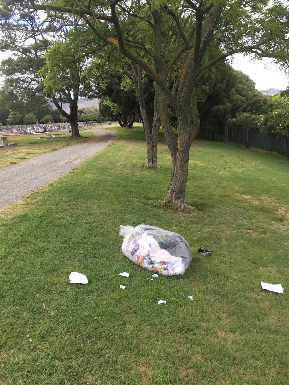 The photograph attached to this parks report