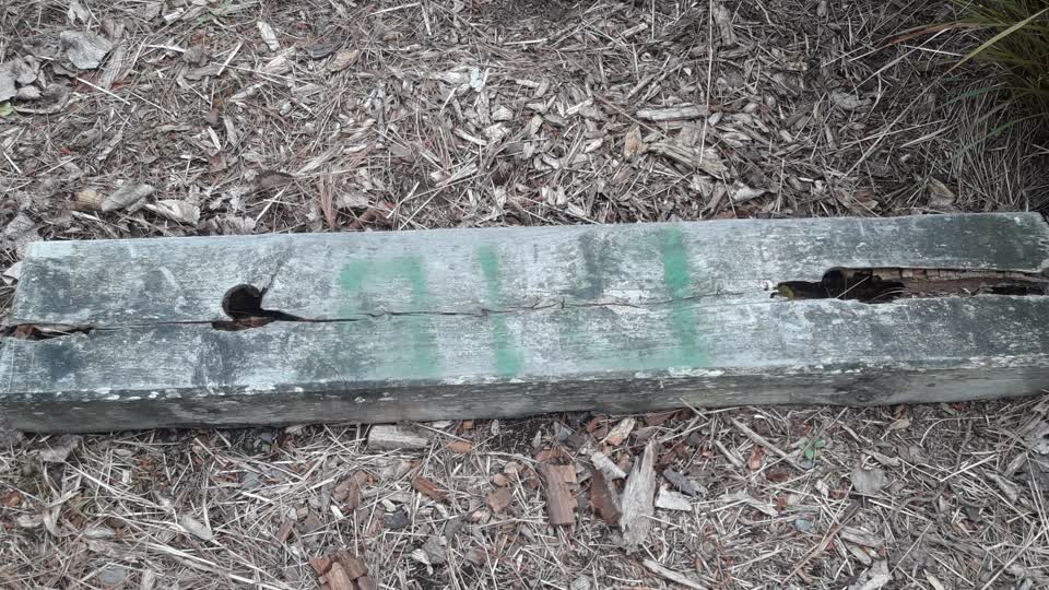 The photograph attached to this parks report