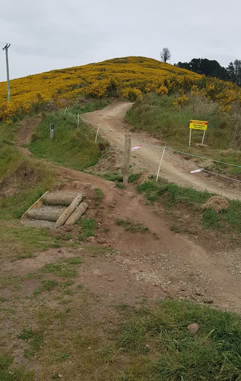 Parks, a report photo