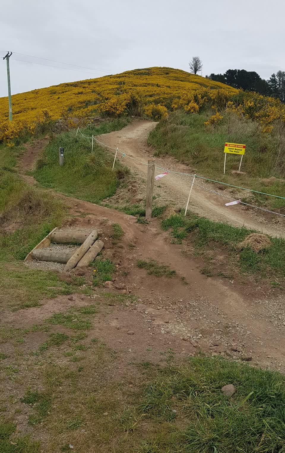 The photograph attached to this parks report
