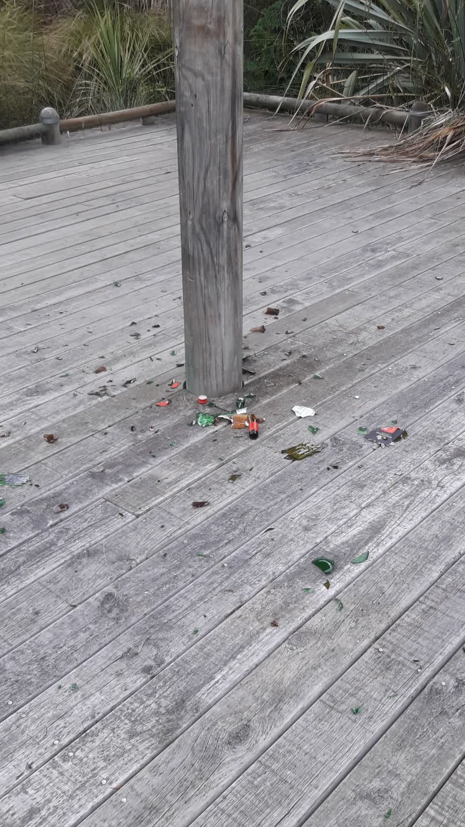 The photograph attached to this parks report