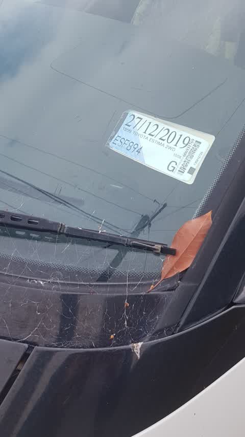 Roading/Streets, a report photo