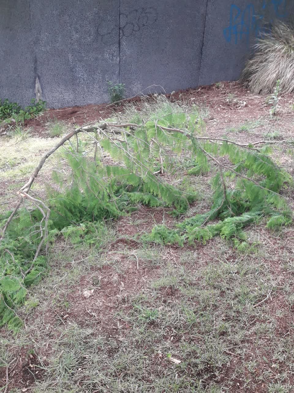 The photograph attached to this parks report
