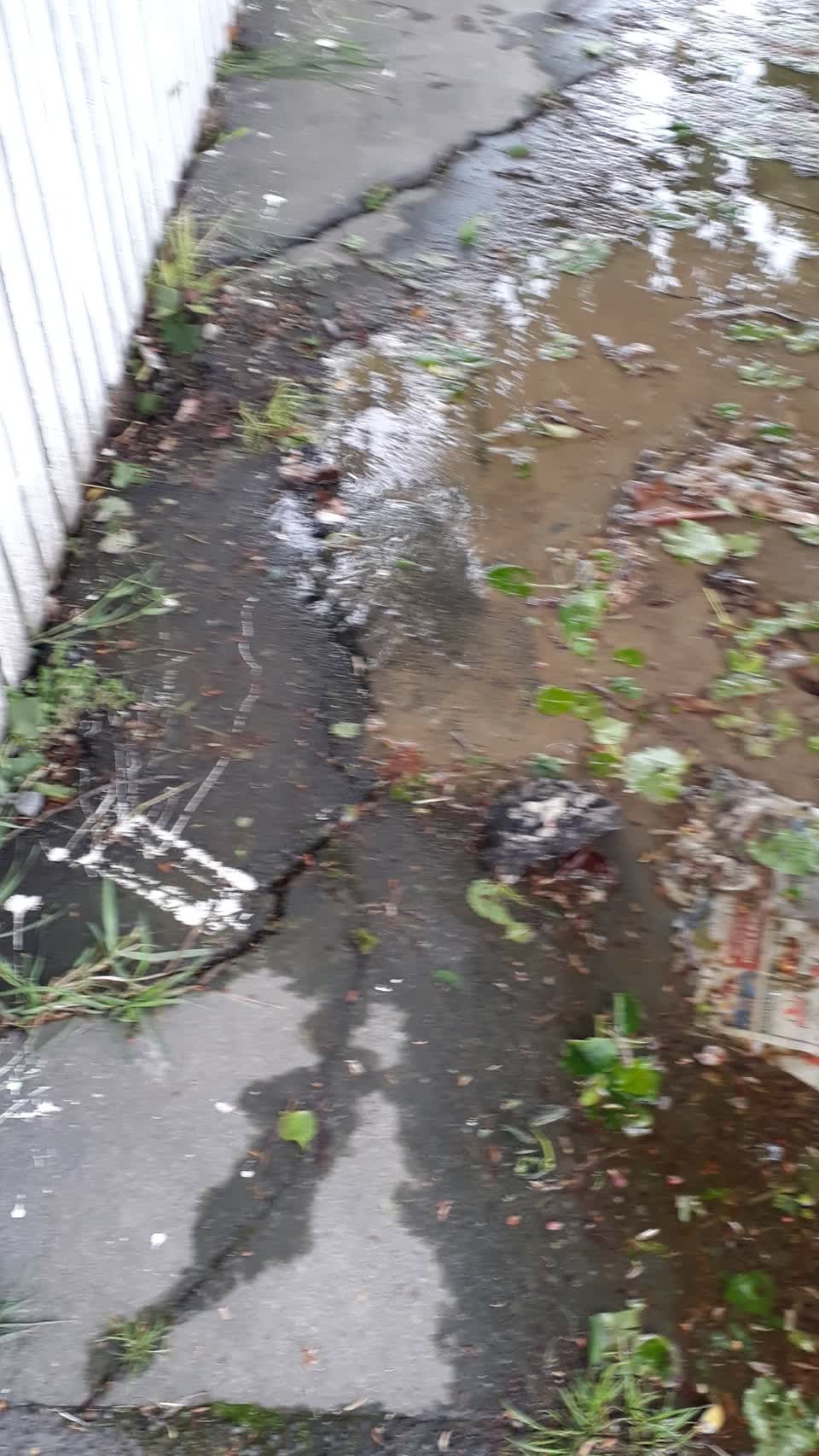 The photograph attached to this water leak report