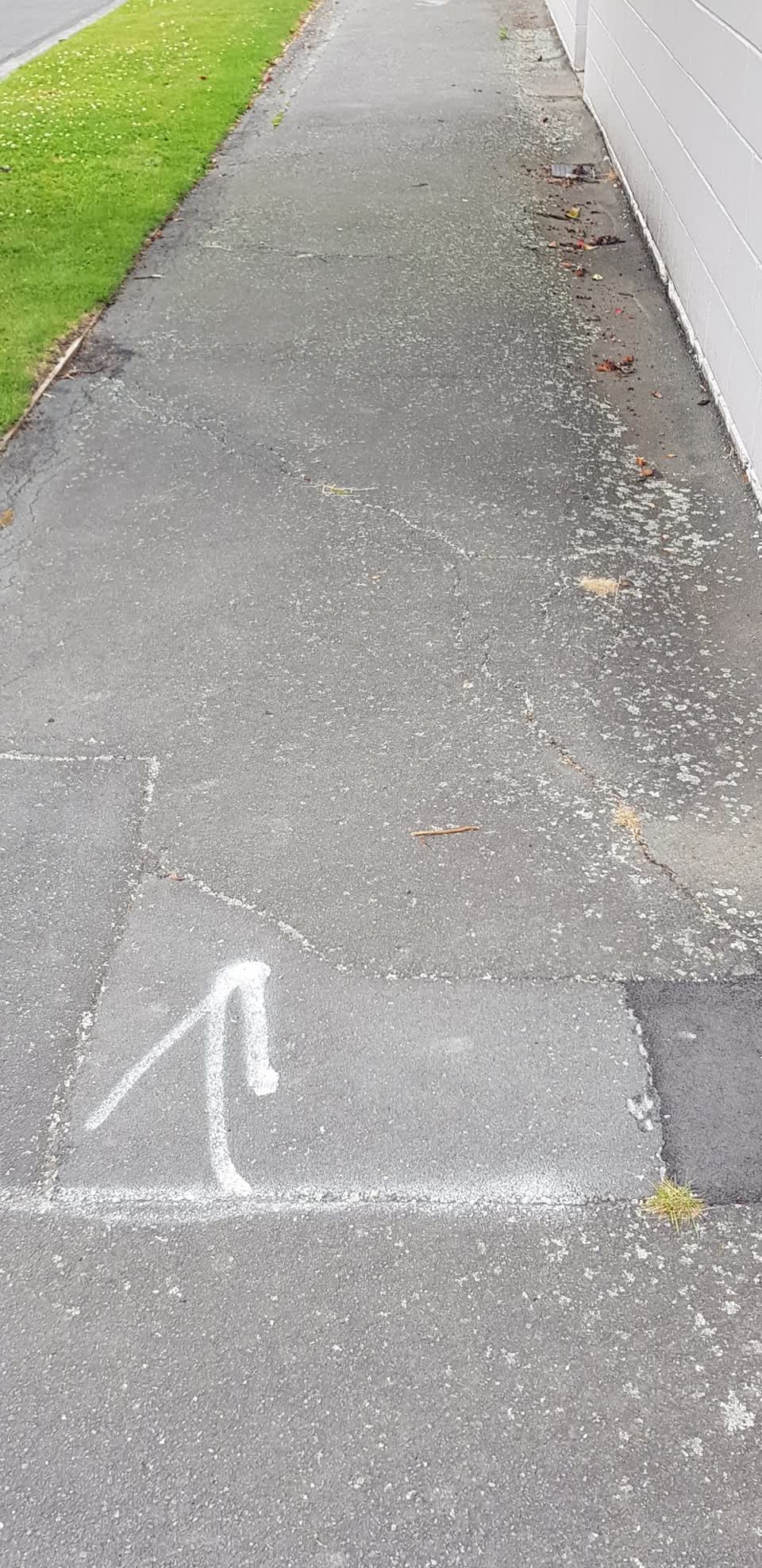The photograph attached to this roading/streets report