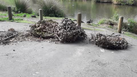 Parks, a report photo