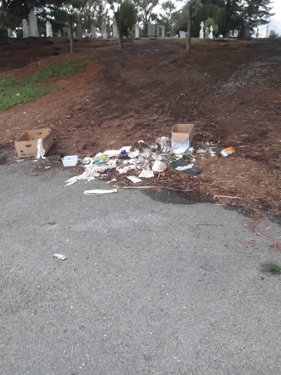 The photograph attached to this parks report