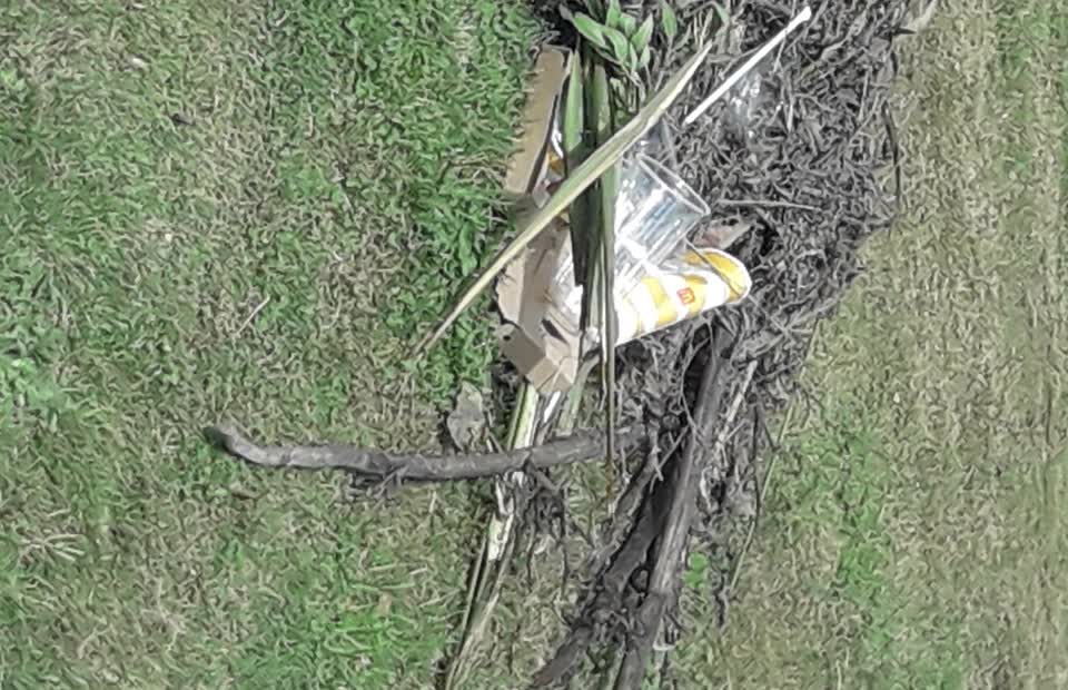 The photograph attached to this parks report