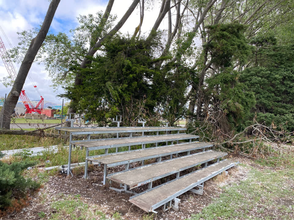 The photograph attached to this parks report