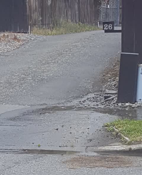 Water Leak, a report photo