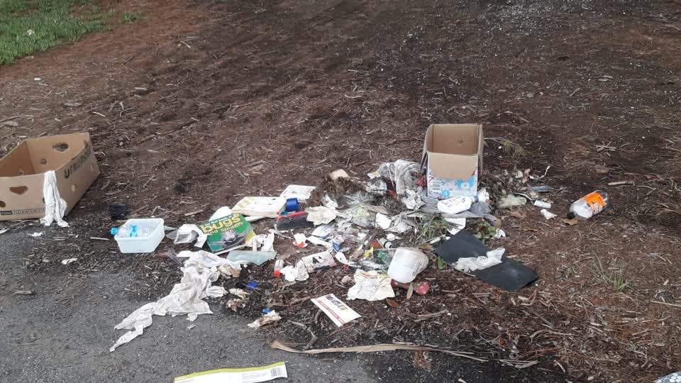 The photograph attached to this parks report