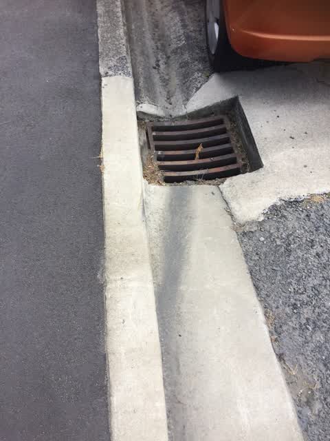 Roading/Streets, a report photo