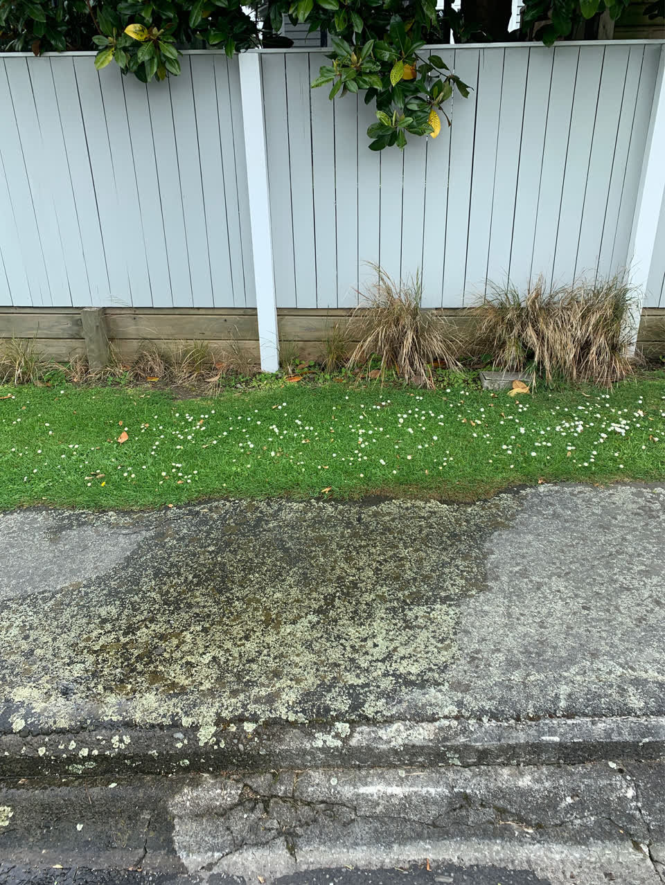 The photograph attached to this water leak report