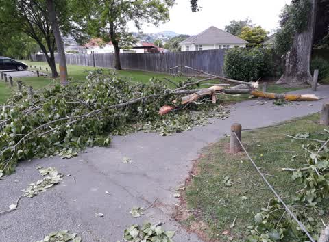 Parks, a report photo