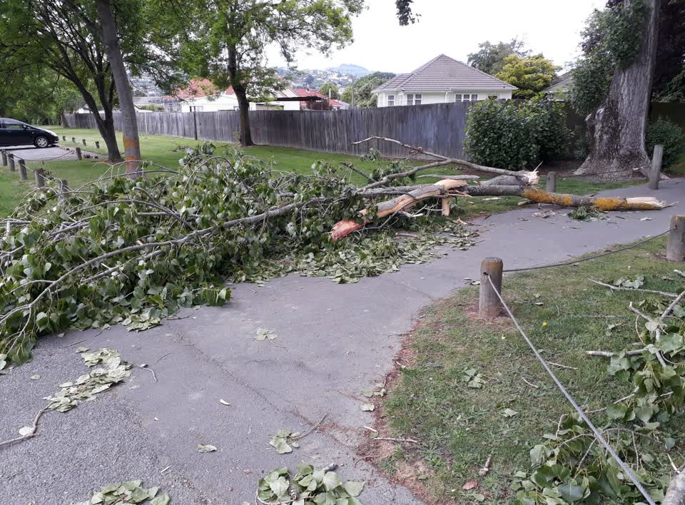 The photograph attached to this parks report