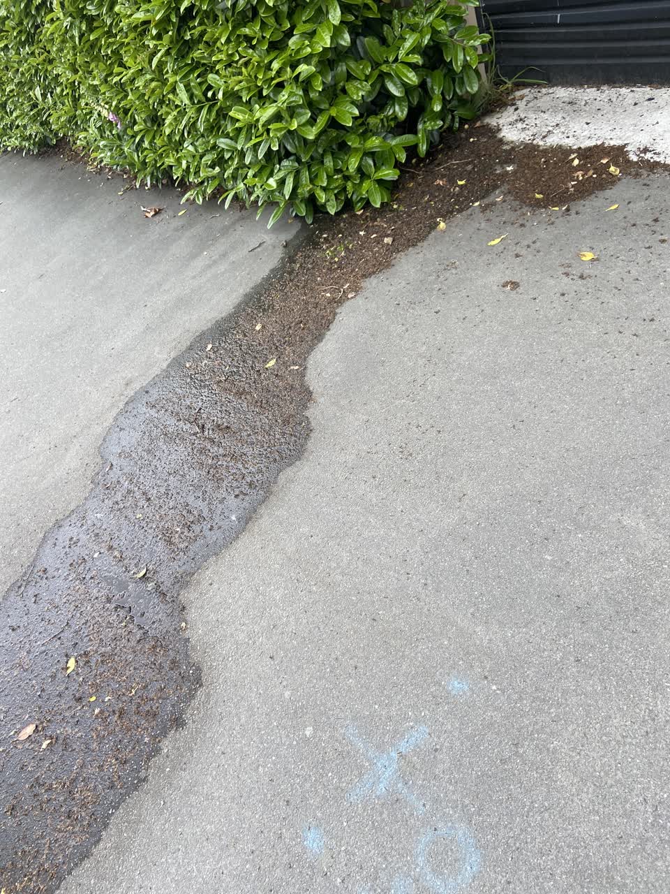 The photograph attached to this water leak report