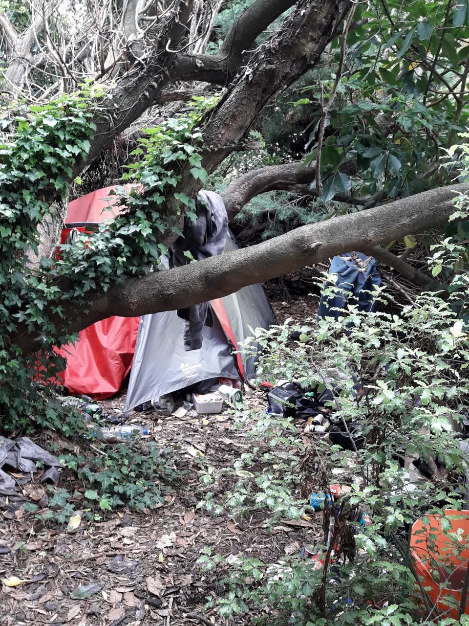 The photograph attached to this parks report
