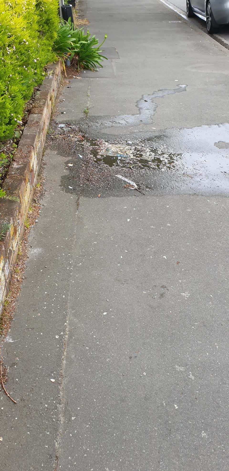 The photograph attached to this water leak report