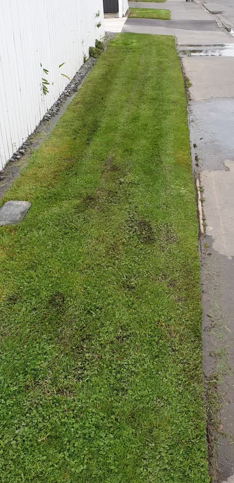 Water Leak, a report photo
