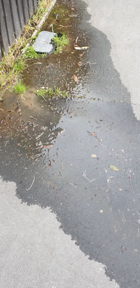 Water Leak, a report photo