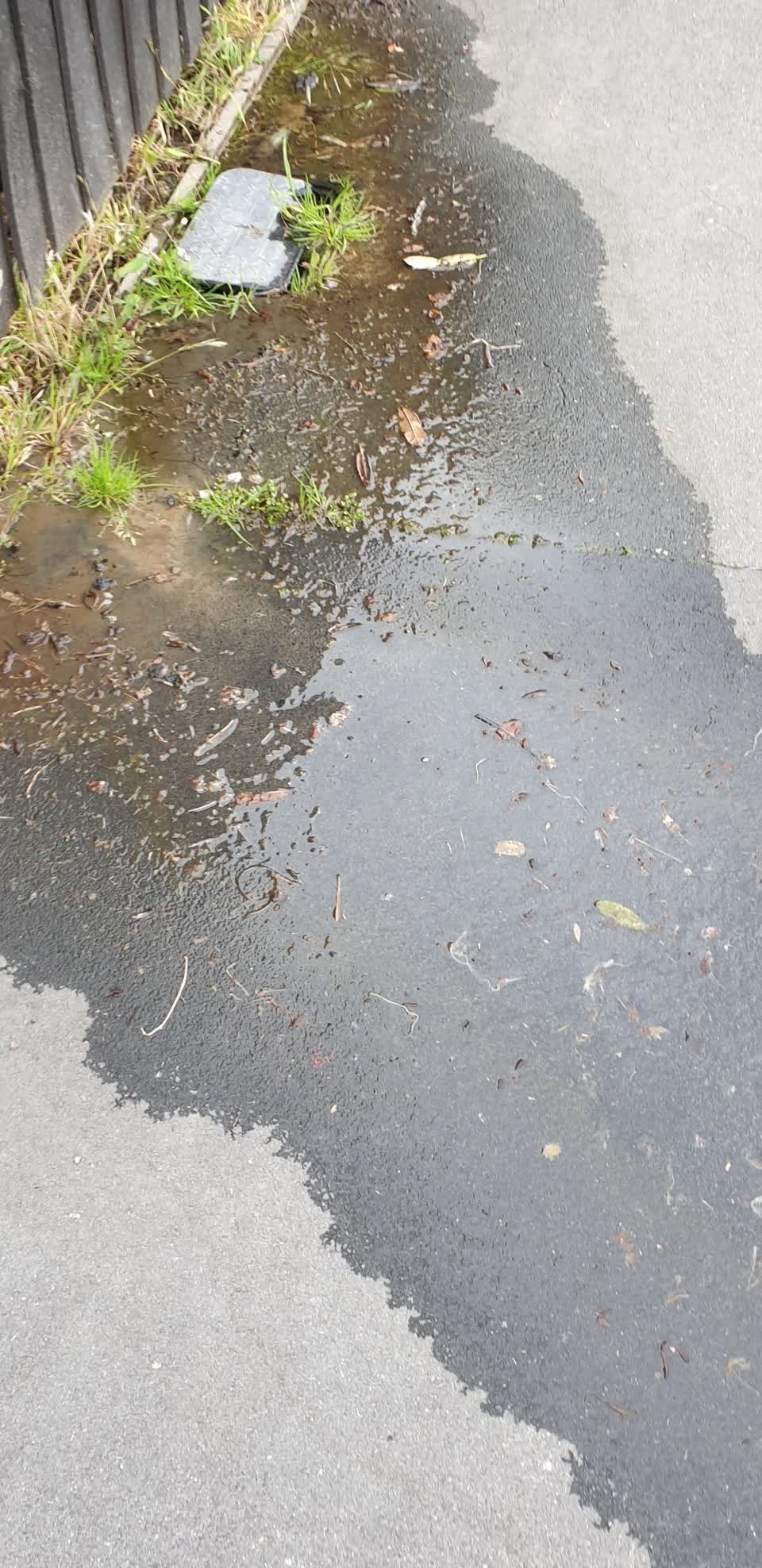 The photograph attached to this water leak report