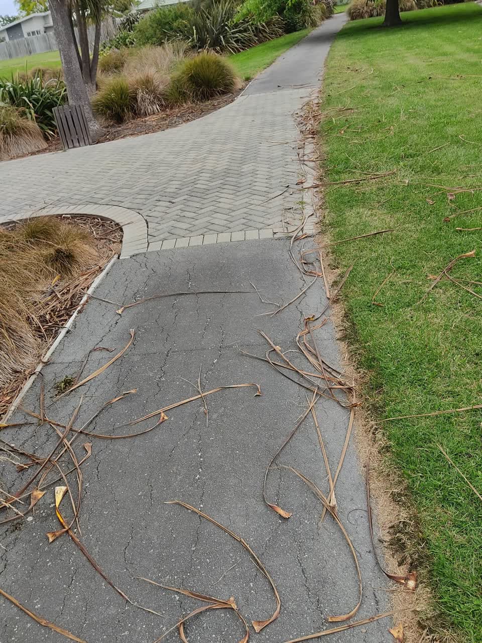 The photograph attached to this parks report