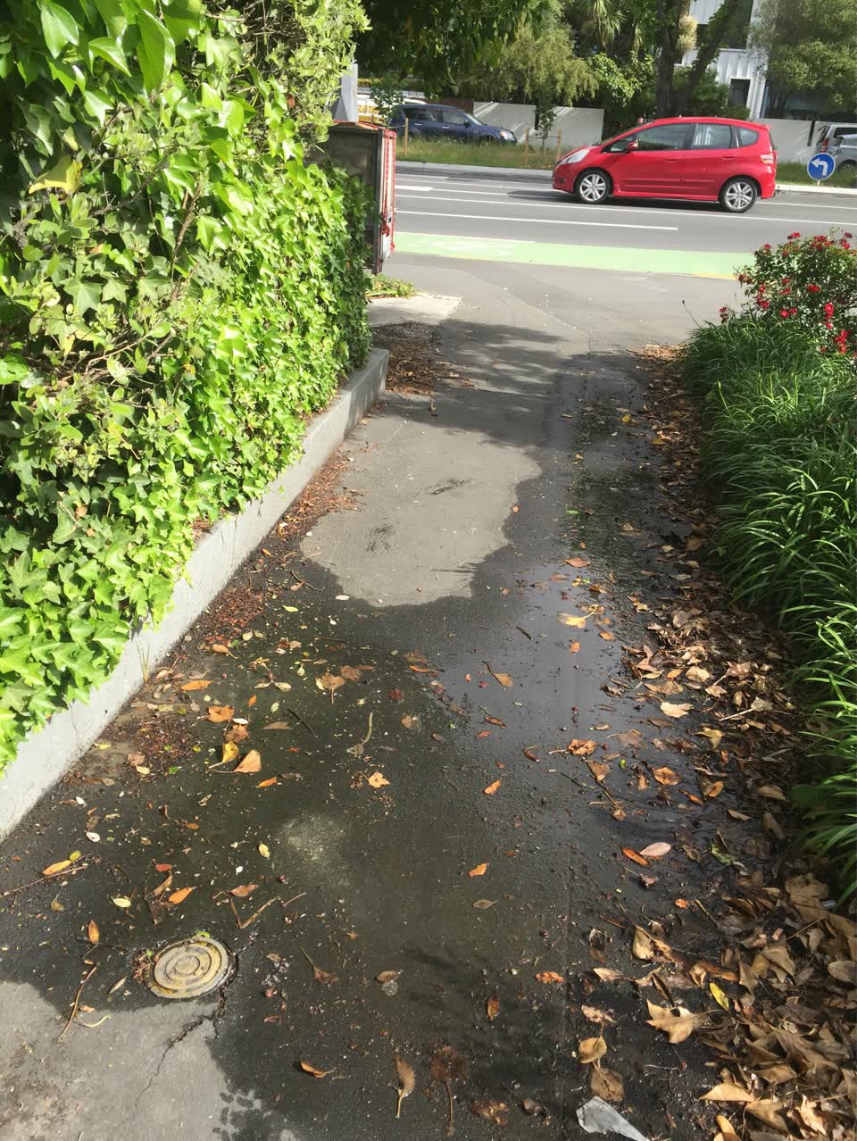 The photograph attached to this water leak report