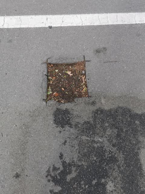 Roading/Streets, a report photo