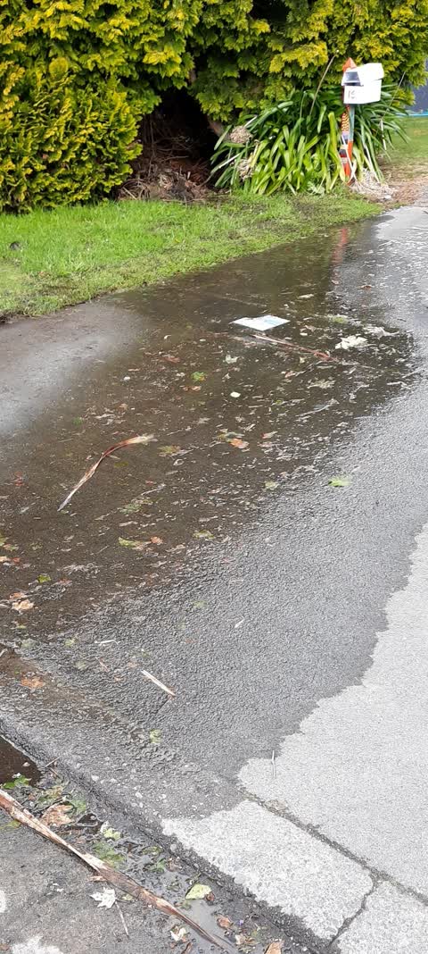 Water Leak, a report photo