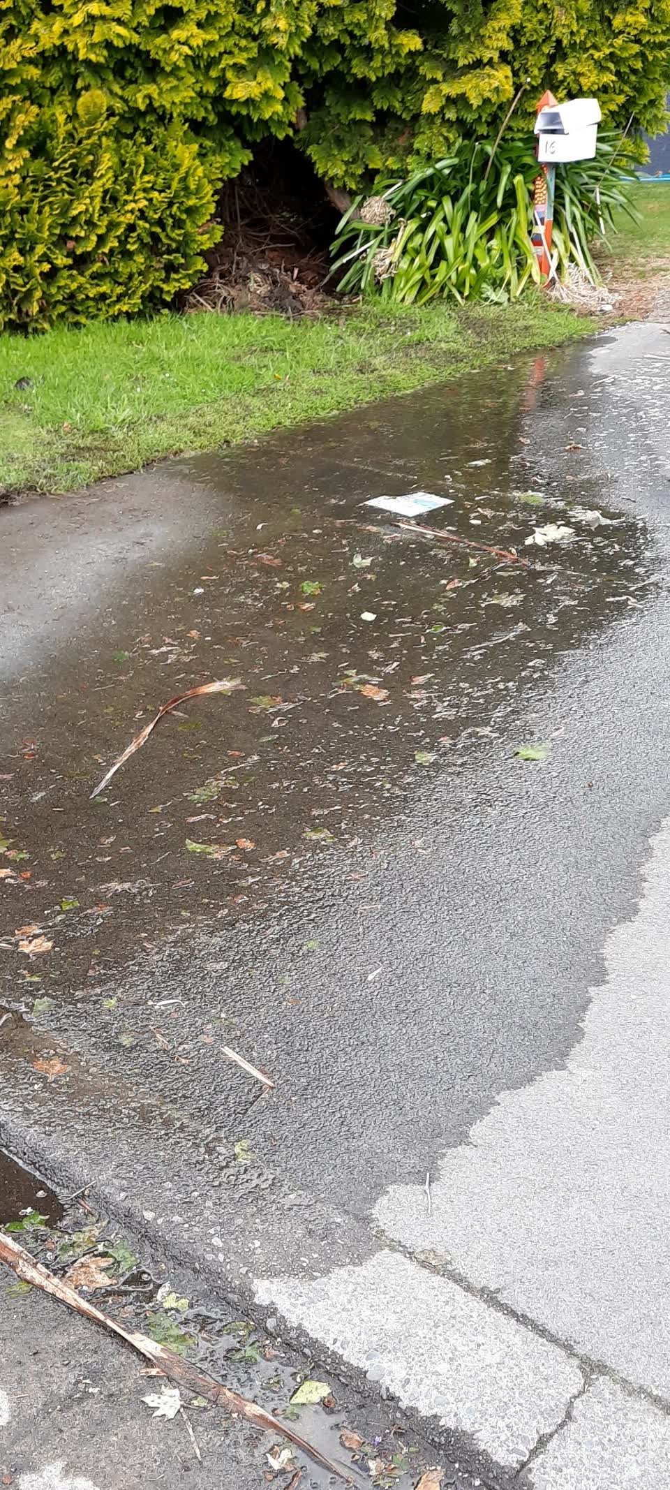 The photograph attached to this water leak report