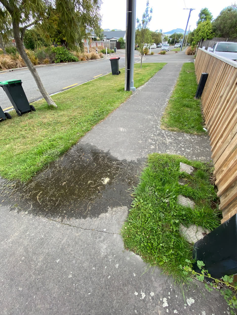 The photograph attached to this water leak report