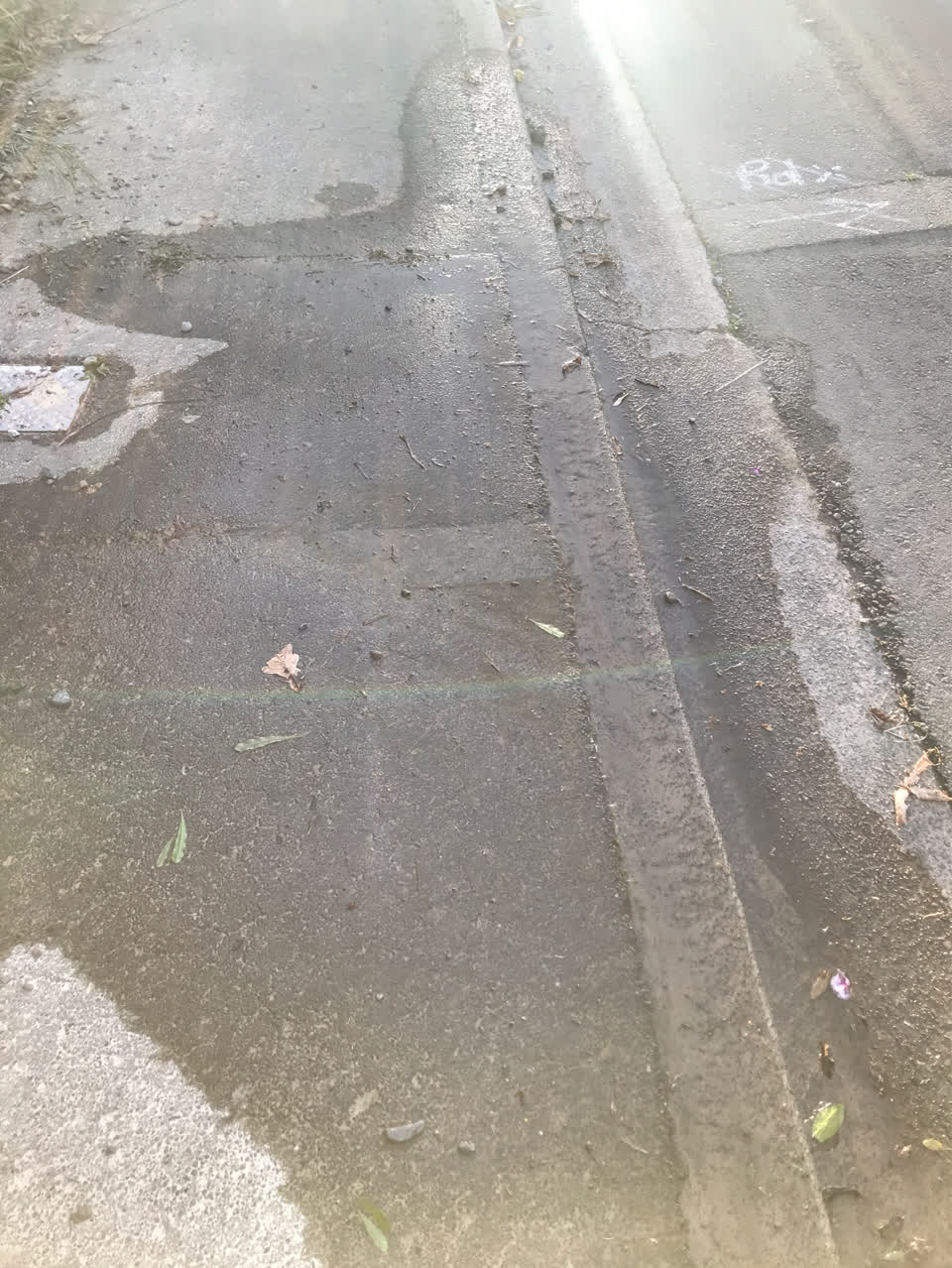 The photograph attached to this water leak report