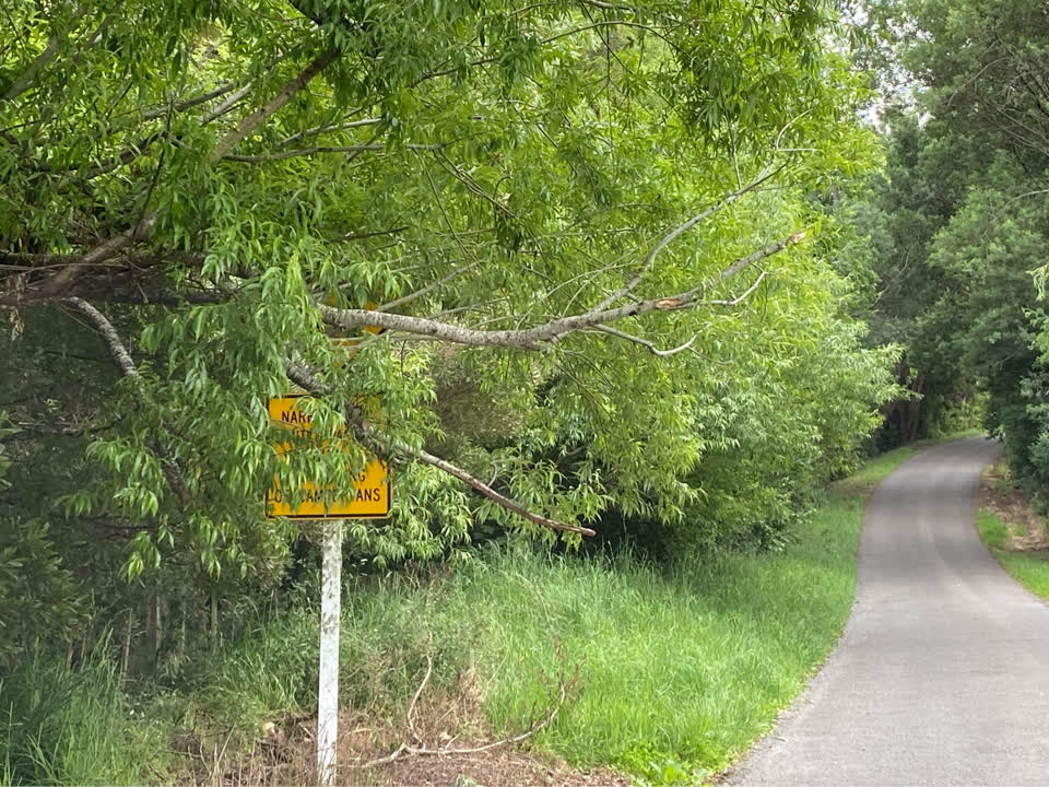 The photograph attached to this roading/streets report