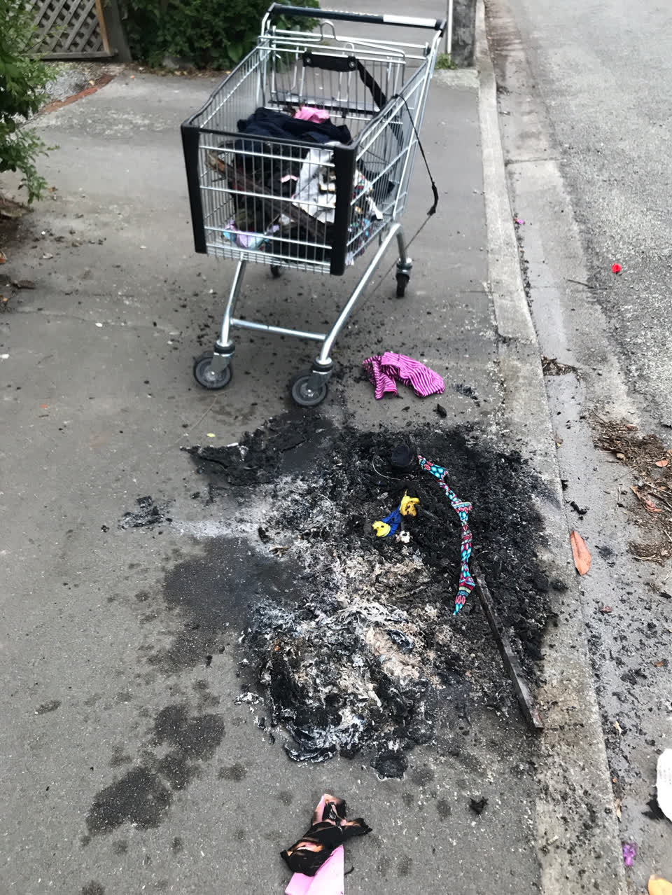 The photograph attached to this rubbish/recycling report