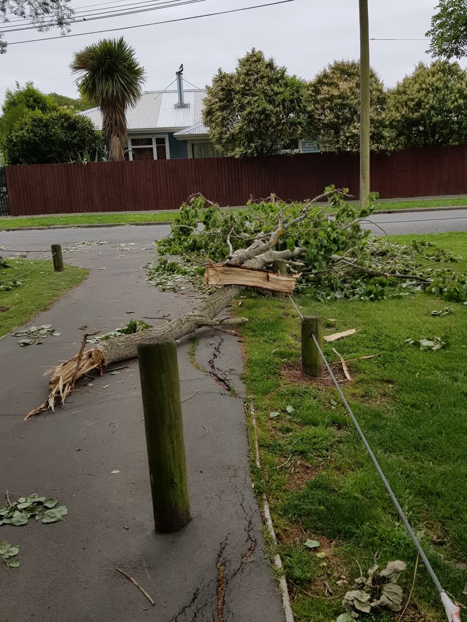 The photograph attached to this parks report