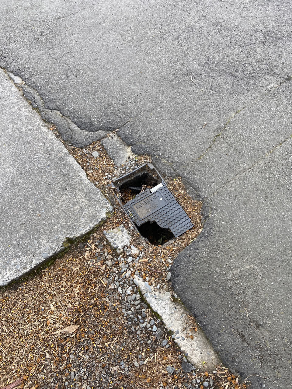 The photograph attached to this water supply report
